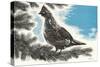 Grouse in Fir Tree-null-Stretched Canvas