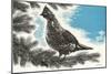 Grouse in Fir Tree-null-Mounted Premium Giclee Print