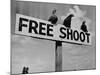 Grouse on "Free Shoot" Sign-null-Mounted Photographic Print