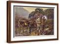 Brown Frame