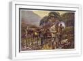 White Frame