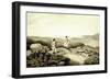 Grouse Shooting, from 'Ormes Collection of British Fieldsports', Engraved by J. Godby and H.…-Samuel Howitt-Framed Giclee Print
