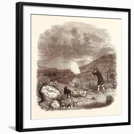 Grouse Shooting in August. Shotgun-null-Framed Giclee Print