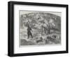 Grouse-Shooting in Nova Scotia-Harrison William Weir-Framed Giclee Print