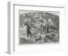 Grouse-Shooting in Nova Scotia-Harrison William Weir-Framed Giclee Print