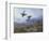 Grouse Taking Flight-Archibald Thorburn-Framed Giclee Print