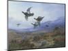 Grouse Taking Flight-Archibald Thorburn-Mounted Giclee Print