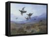 Grouse Taking Flight-Archibald Thorburn-Framed Stretched Canvas