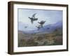 Grouse Taking Flight-Archibald Thorburn-Framed Giclee Print