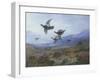 Grouse Taking Flight-Archibald Thorburn-Framed Giclee Print