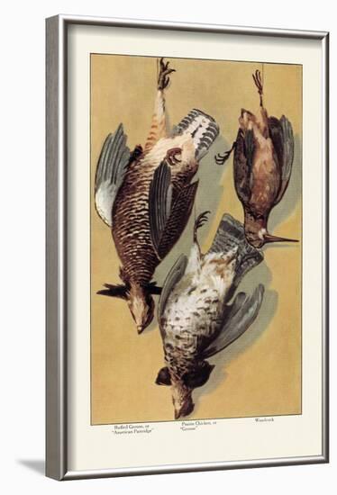 Grouse-null-Framed Art Print