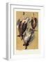 Grouse-null-Framed Art Print