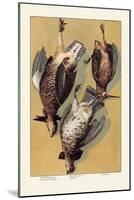 Grouse-null-Mounted Art Print