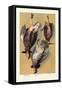 Grouse-null-Framed Stretched Canvas