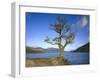 GrovŸbritannien, Schottland, Strathclyde, Loch Lomond, Binnengewv¤Sser, Binnensee, See-Thonig-Framed Photographic Print