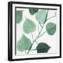 Grove Detail 1-Norman Wyatt Jr.-Framed Art Print