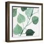 Grove Detail 1-Norman Wyatt Jr.-Framed Art Print