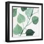 Grove Detail 1-Norman Wyatt Jr.-Framed Art Print