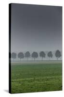 grove in the fog-By-Stretched Canvas