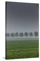 grove in the fog-By-Stretched Canvas