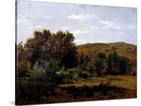 Grove (Monasterio De Piedra), Ca. 1856-Carlos de Haes-Stretched Canvas