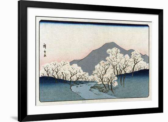 Grove of Cherry Trees, Japanese Wood-Cut Print-Lantern Press-Framed Art Print