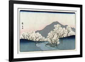 Grove of Cherry Trees, Japanese Wood-Cut Print-Lantern Press-Framed Art Print