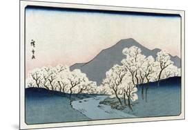 Grove of Cherry Trees, Japanese Wood-Cut Print-Lantern Press-Mounted Art Print