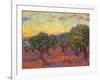 Grove of Olive Trees, 1889-Vincent van Gogh-Framed Giclee Print