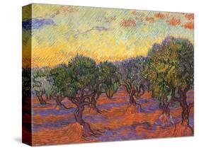 Grove of Olive Trees, 1889-Vincent van Gogh-Stretched Canvas