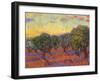 Grove of Olive Trees, 1889-Vincent van Gogh-Framed Giclee Print