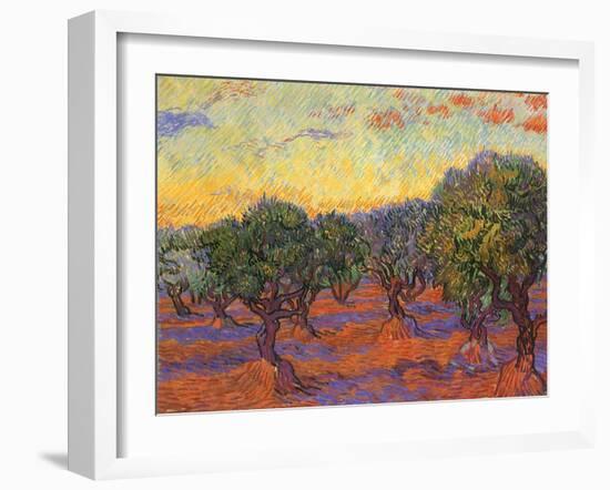 Grove of Olive Trees, 1889-Vincent van Gogh-Framed Giclee Print