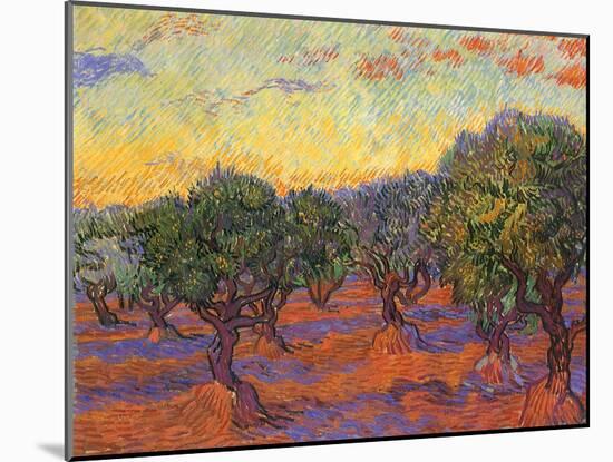 Grove of Olive Trees, 1889-Vincent van Gogh-Mounted Giclee Print