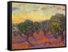 Grove of Olive Trees, 1889-Vincent van Gogh-Framed Stretched Canvas