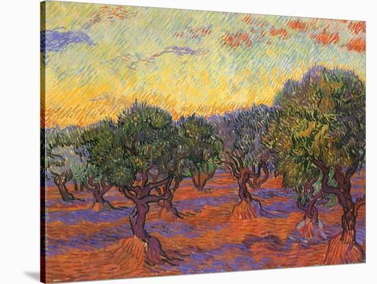 Grove of Olive Trees, 1889-Vincent van Gogh-Stretched Canvas