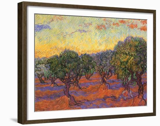 Grove of Olive Trees, 1889-Vincent van Gogh-Framed Giclee Print