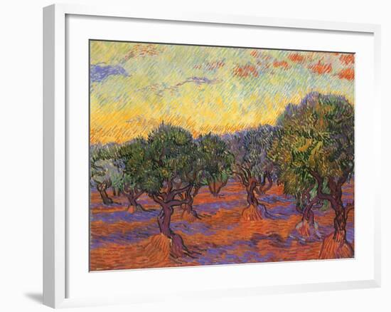 Grove of Olive Trees, 1889-Vincent van Gogh-Framed Giclee Print