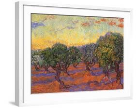 Grove of Olive Trees, 1889-Vincent van Gogh-Framed Giclee Print