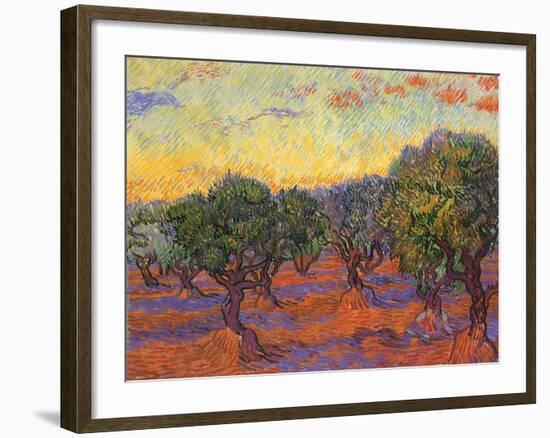 Grove of Olive Trees, 1889-Vincent van Gogh-Framed Giclee Print