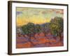 Grove of Olive Trees, 1889-Vincent van Gogh-Framed Giclee Print