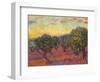 Grove of Olive Trees, 1889-Vincent van Gogh-Framed Giclee Print