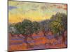 Grove of Olive Trees, 1889-Vincent van Gogh-Mounted Giclee Print