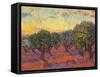 Grove of Olive Trees, 1889-Vincent van Gogh-Framed Stretched Canvas