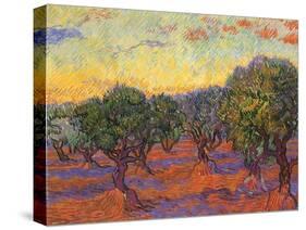 Grove of Olive Trees, 1889-Vincent van Gogh-Stretched Canvas