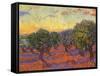 Grove of Olive Trees, 1889-Vincent van Gogh-Framed Stretched Canvas