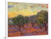 Grove of Olive Trees, 1889-Vincent van Gogh-Framed Giclee Print