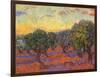 Grove of Olive Trees, 1889-Vincent van Gogh-Framed Giclee Print