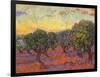 Grove of Olive Trees, 1889-Vincent van Gogh-Framed Giclee Print