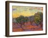 Grove of Olive Trees, 1889-Vincent van Gogh-Framed Premium Giclee Print