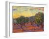 Grove of Olive Trees, 1889-Vincent van Gogh-Framed Premium Giclee Print